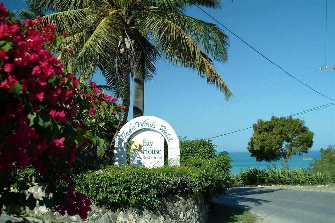 Trade Winds Hotel Dickenson Bay Exterior foto