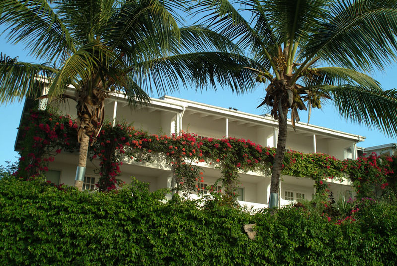 Trade Winds Hotel Dickenson Bay Exterior foto