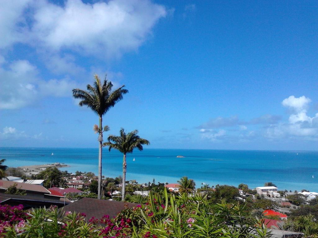 Trade Winds Hotel Dickenson Bay Exterior foto